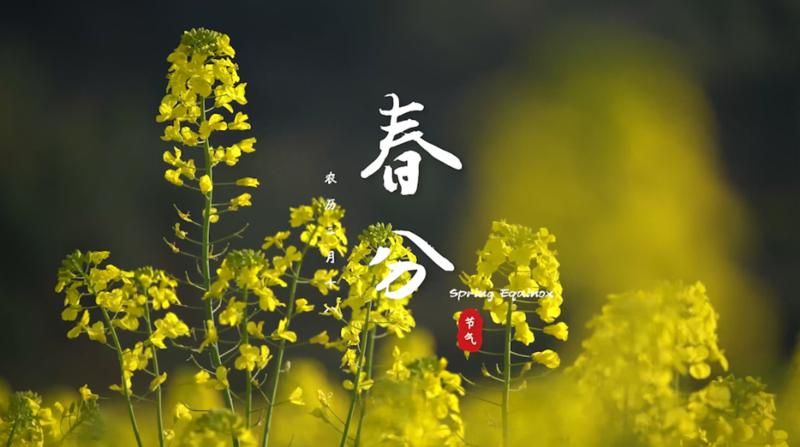 春水初生<div   id=
